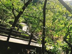 -东海大峡谷