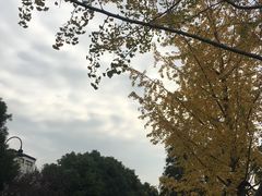 -东湖落雁景区