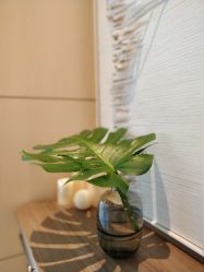 -珠海瑞吉酒店·铱瑞水疗