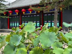 -长安寺
