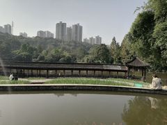 -龙头寺公园