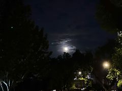 -Wagas沃歌斯(大学路店)