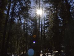 景点-毕棚沟景区