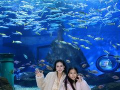 -海合安武汉极地海洋公园