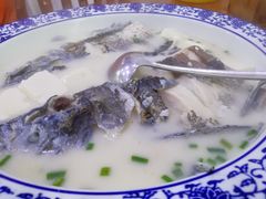 千岛湖浓汤鱼头-全乐鱼馆·淳牌有机鱼直营店