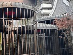 -成都观隐颐云台酒店-芳菲秀