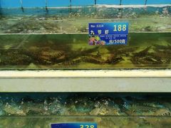-旺富东海大酒楼(海鲜街店)