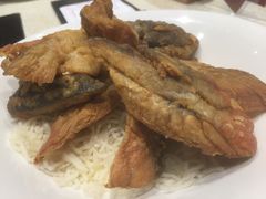 -稻香酒家·33年老字号·港式粤菜(富邦中心店)