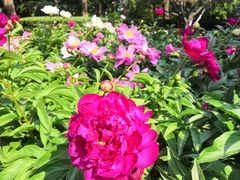 -玲珑塔公园