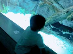 -常州海昌海洋探索馆