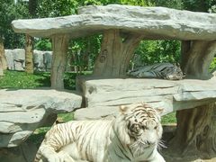 -北京野生动物园