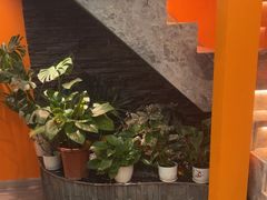 -泰古龙抓龙筋·spa按摩(静安店)