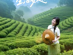 -华祥苑茶馆•国缤茶小蓝罐(普罗旺斯店)