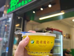 -德禄酸奶(莫家街店)