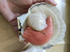 -丽江庭院之丽江往事(安定门店)