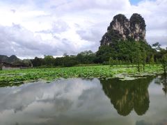 -南宁花花大世界景区