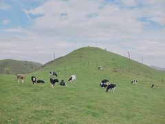 -崀山风景名胜区