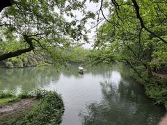 -浙江宾馆·花园餐厅·自助餐厅·茶吧