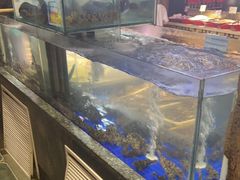 -乔家小院•非遗驴肉•本地小海鲜(滨河路店)