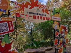 -广州市石门国家森林公园