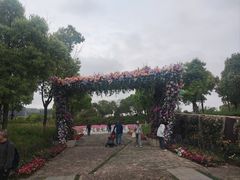 -春花秋色城市公园