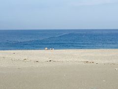 -七星潭蓝天广场