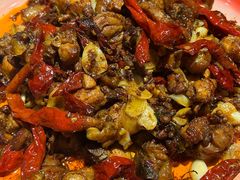 -柴窝堡22号辣子鸡·传承新疆菜