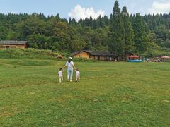 -武陵山森林公园