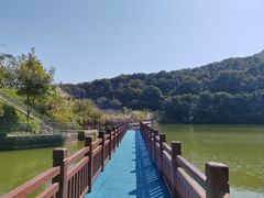 -黄埔油麻山森林公园