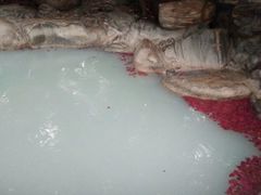 -湖泉半山温泉