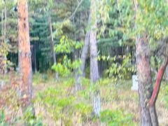 -帽儿山国家森林公园