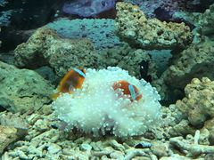 -泉州海丝野生动物世界