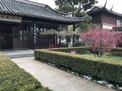 -梅园