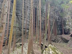 -梭布垭石林景区