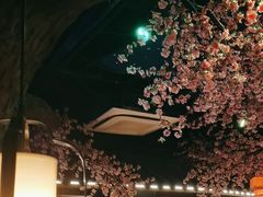 -荷塘秋月·本帮江浙菜(国权路店)