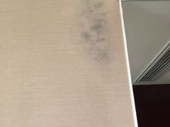 -世纪缘湖滨花园酒店(玄武湖店)