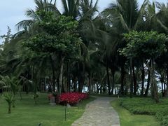 -瑰丽酒店·海吧·天际下午茶·现场DJ·天台酒吧