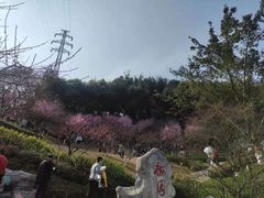 -重庆彩云湖湿地公园