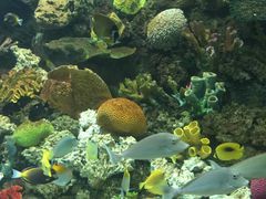 -常州海昌海洋探索馆
