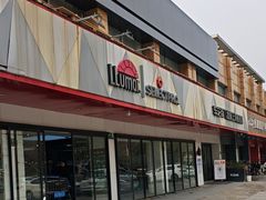 -车艺尚上海龙膜隐形车衣汽车贴膜旗舰店