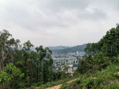 -天鹿湖森林公园