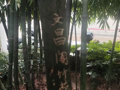 -文昌阁