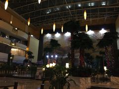 -铂丽斯国际大酒店-凯悦自助餐厅