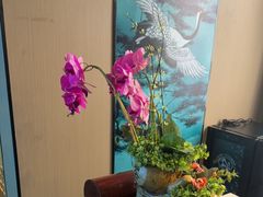 -鹤祥宫·影院足道·SPA连锁(沙井店)