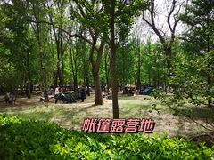 -古塔公园