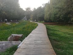 -护国法轮寺