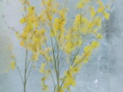 -长春公园(普阳街道)