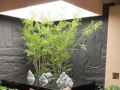 -宫七SPA·高端Massage(浦东大道店)