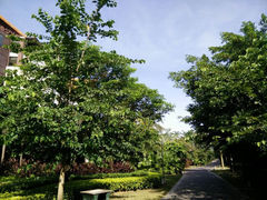 android_upload_pic-三亚海棠湾万丽度假酒店