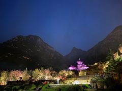 -禅宗少林·音乐大典